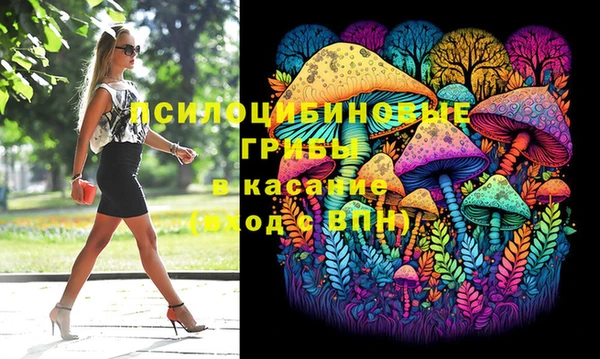 героин Михайлов