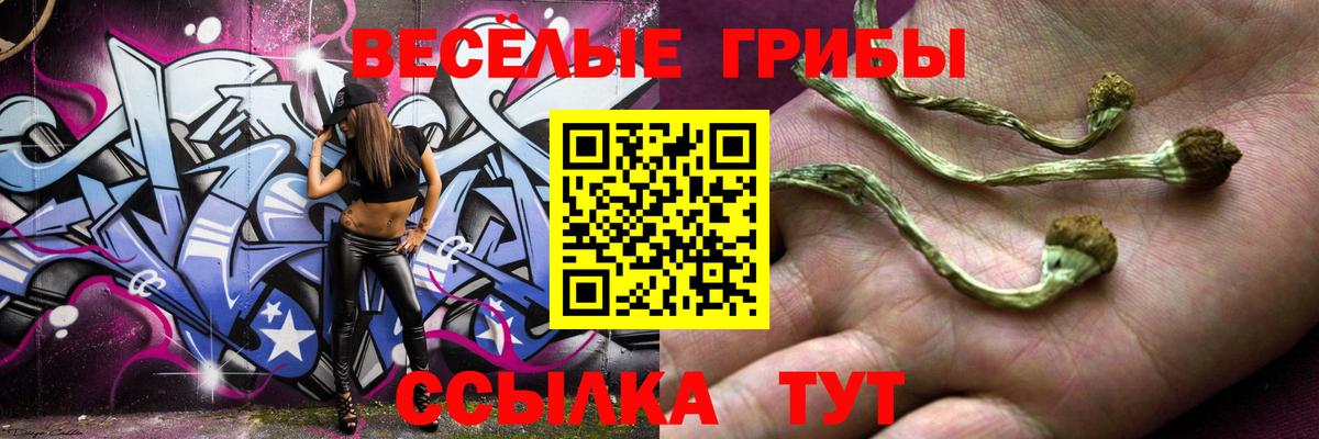 Псилоцибиновые грибы прущие грибы  Рыбинск 