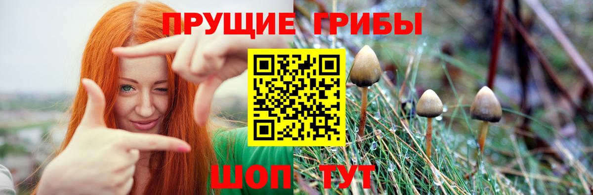 ГЕРОИН Рыбинск