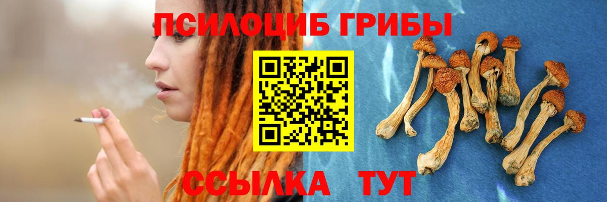 Рыбинск  Галлюциногенные грибы MAGIC MUSHROOMS  Псилоцибиновые грибы MAGIC MUSHROOMS  Вход с VPN 